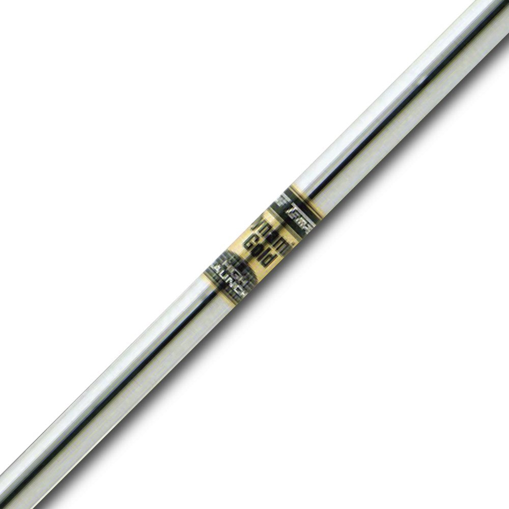 True Temper - Dynamic Gold HL - R300 (Warranty Void)– Vin Golf - MY